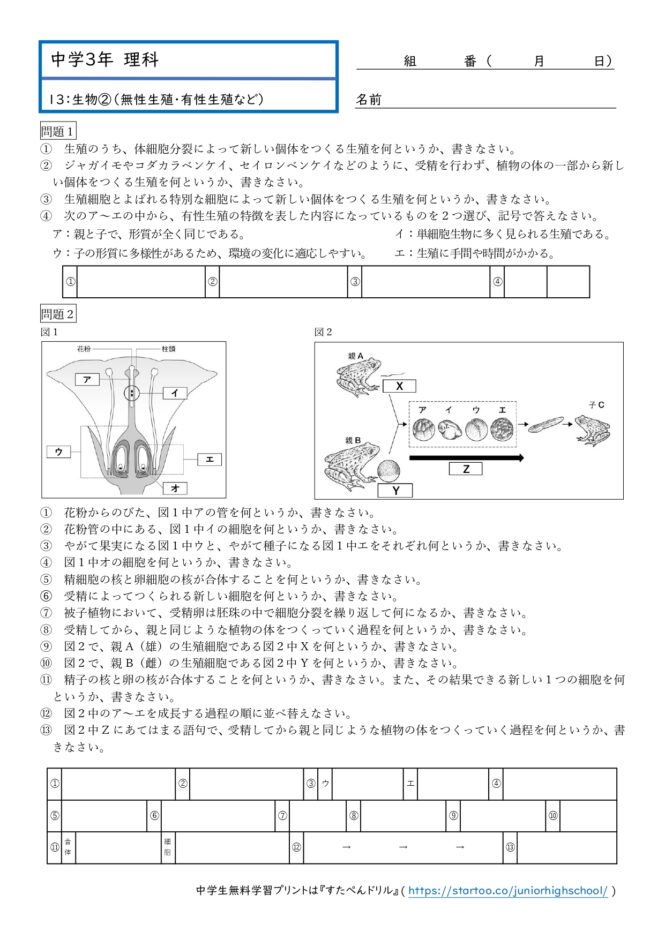 中3理科「無性生殖・有性生殖」学習プリント無料ダウンロード・印刷